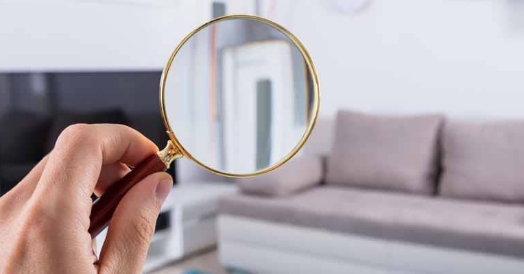 Visite accompagnée par un expert